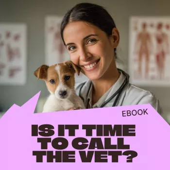 Home Monitoring vs Vet Visit: When to Watch Your Pet