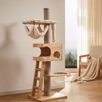 One Cat, One or Two Towers? Simple Setup Guide